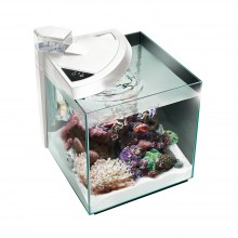 NEWA_More_reef-1