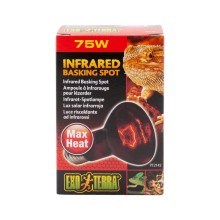 large-729046_EXOTERRA_HEAT_INFRA_HEAT_75W